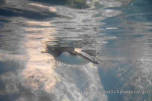 20251013-794pz 20251013-794pz