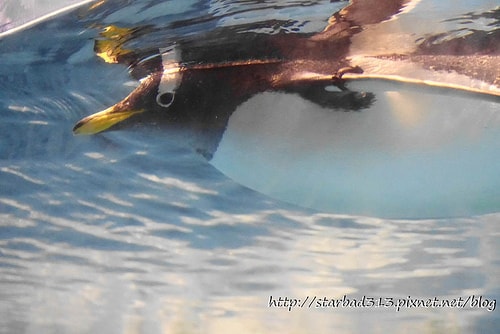 20251013-7n0eu 20251013-7n0eu