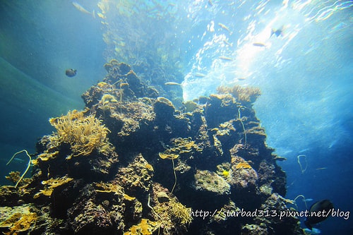 20251013-8if0b 20251013-8if0b