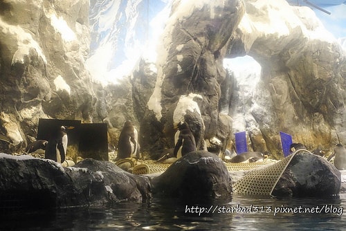 20251013-99v4l 20251013-99v4l