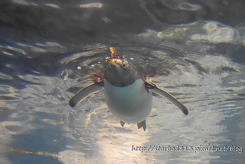 20251013-9di7j 20251013-9di7j