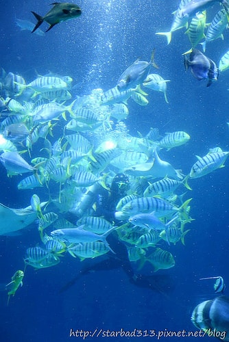 20251013-ag1ms 20251013-ag1ms