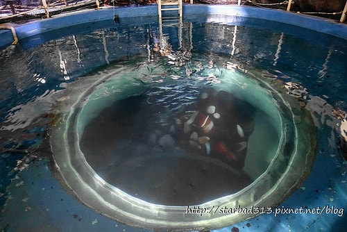 20251013-azaap 20251013-azaap