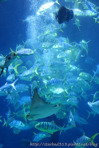 20251013-b28fd 20251013-b28fd