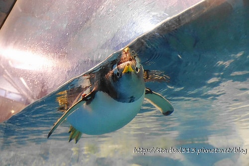 20251013-b2mv6 20251013-b2mv6