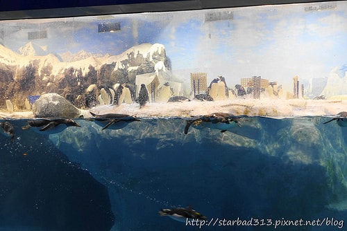 20251013-bdntk 20251013-bdntk