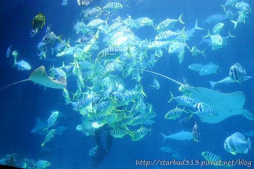 20251013-bw92m 20251013-bw92m