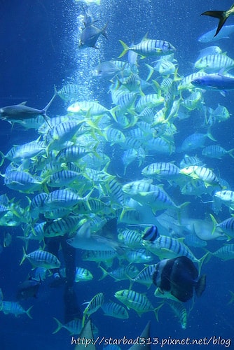 20251013-c1qe0 20251013-c1qe0