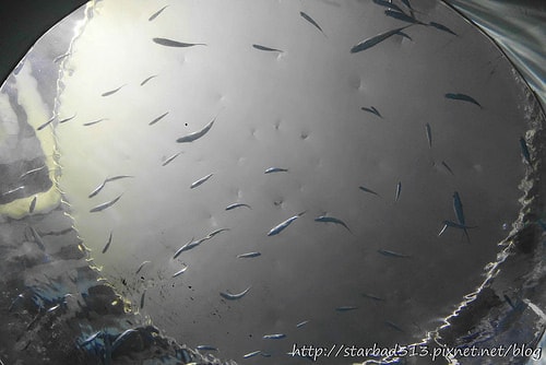 20251013-c7lr1 20251013-c7lr1