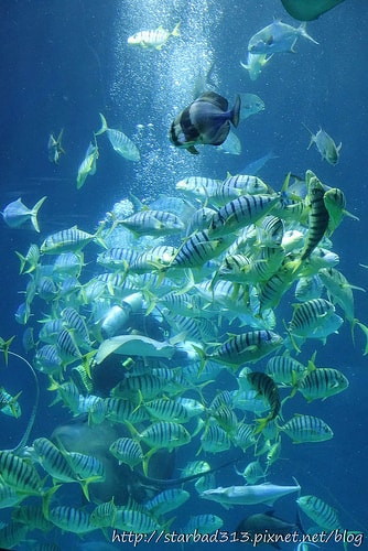 20251013-cdorp 20251013-cdorp