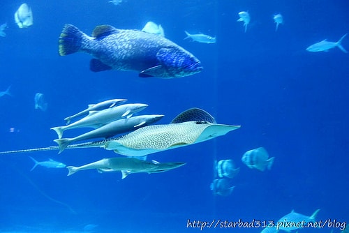 20251013-cjji9 20251013-cjji9