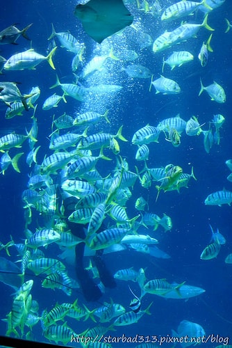 20251013-cu46p 20251013-cu46p