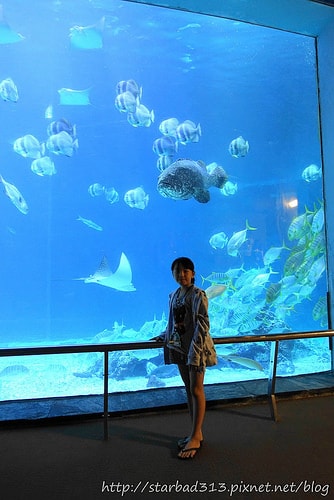 20251013-d20et 20251013-d20et