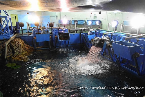 20251013-d3thl 20251013-d3thl