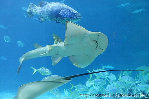 20251013-e94ku 20251013-e94ku