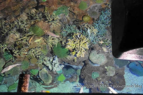 20251013-eak87 20251013-eak87