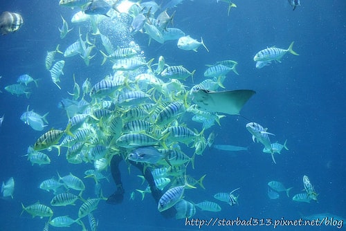 20251013-eiebx 20251013-eiebx