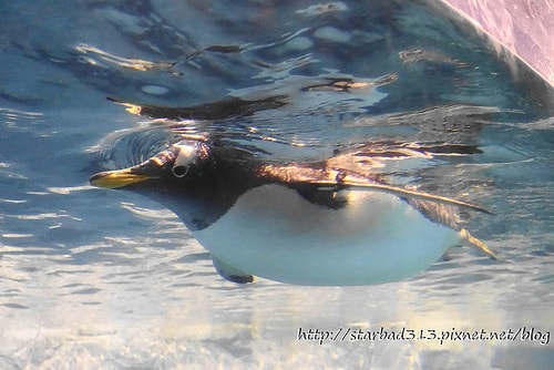 20251013-ekp24 20251013-ekp24