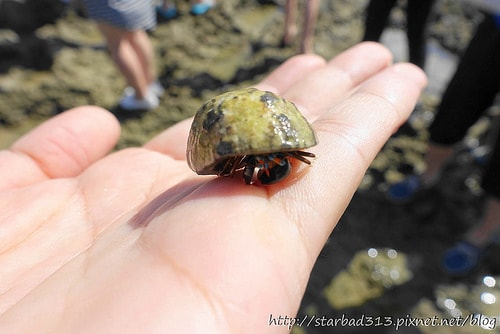 20251013-ey4n3 20251013-ey4n3