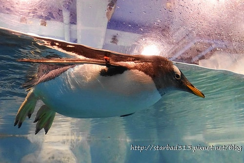 20251013-ezjfd 20251013-ezjfd