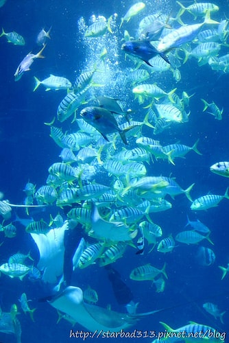 20251013-f2ncf 20251013-f2ncf