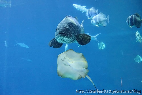 20251013-f8a4b 20251013-f8a4b