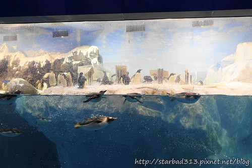 20251013-fjojm 20251013-fjojm