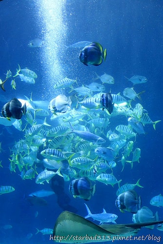 20251013-fk2yp 20251013-fk2yp