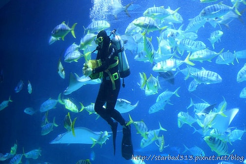 20251013-fkrsv 20251013-fkrsv