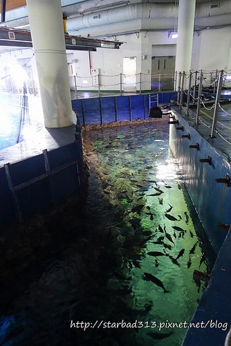 20251013-g10hu 20251013-g10hu