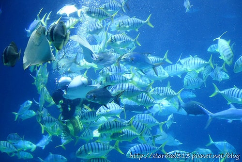 20251013-g8my5 20251013-g8my5