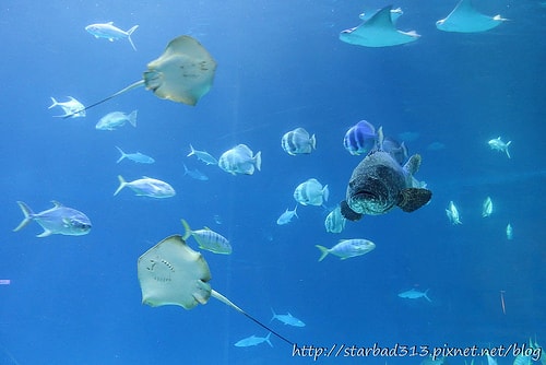 20251013-ga1l8 20251013-ga1l8