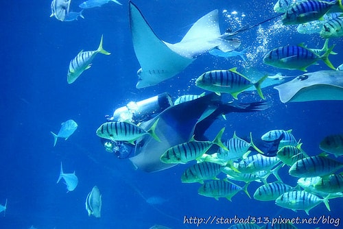 20251013-gl1in 20251013-gl1in