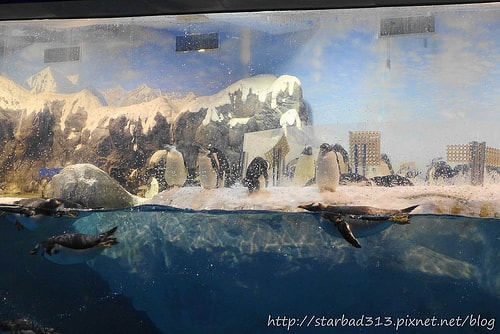 20251013-gp5kz 20251013-gp5kz