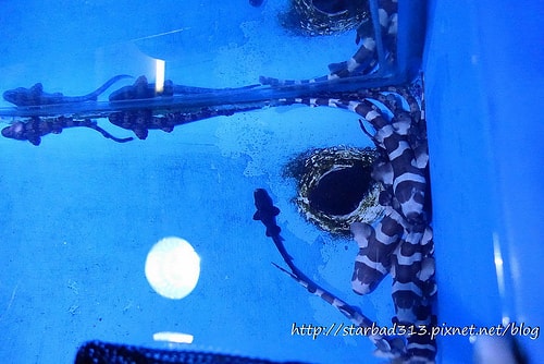 20251013-h1r24 20251013-h1r24