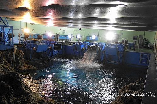 20251013-hc4uh 20251013-hc4uh