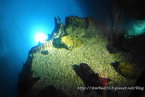 20251013-hphew 20251013-hphew