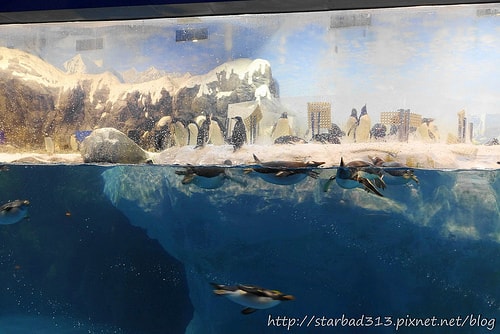 20251013-hpz8d 20251013-hpz8d