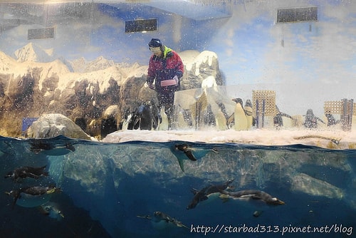 20251013-igk4b 20251013-igk4b