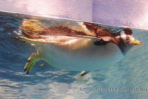 20251013-ik68c 20251013-ik68c