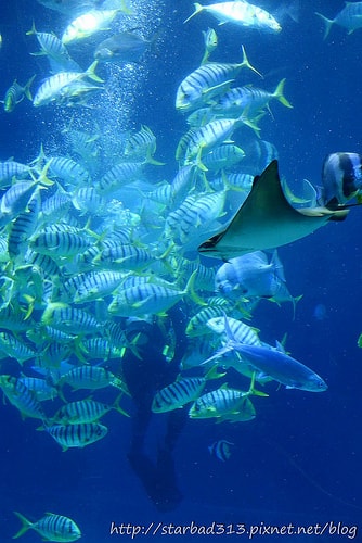 20251013-imyl4 20251013-imyl4