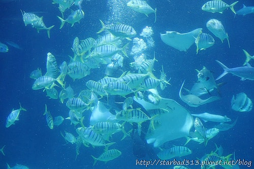 20251013-iqywf 20251013-iqywf