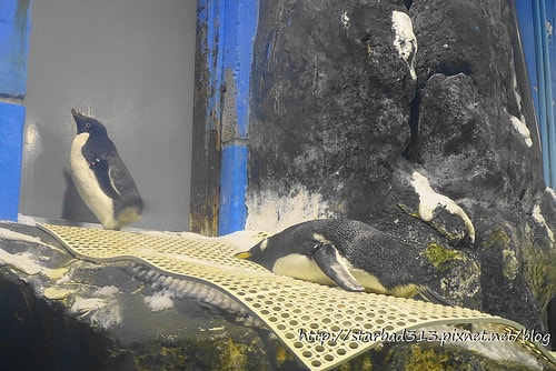 20251013-jpwz5 20251013-jpwz5