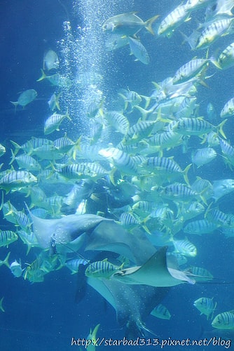 20251013-k99q4 20251013-k99q4