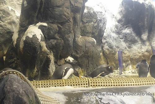 20251013-kxol3 20251013-kxol3