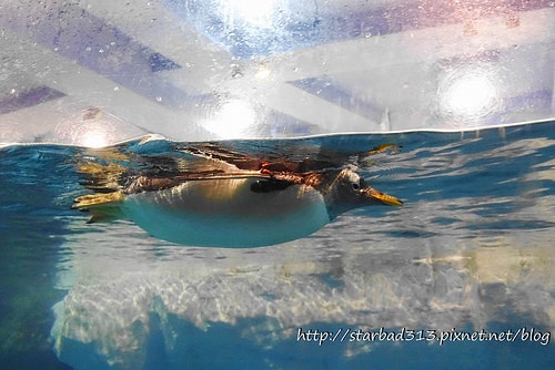 20251013-le0bv 20251013-le0bv