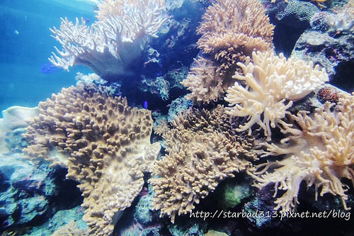 20251013-mjiqj 20251013-mjiqj