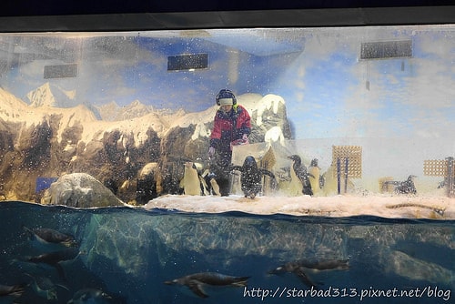 20251013-mkgss 20251013-mkgss