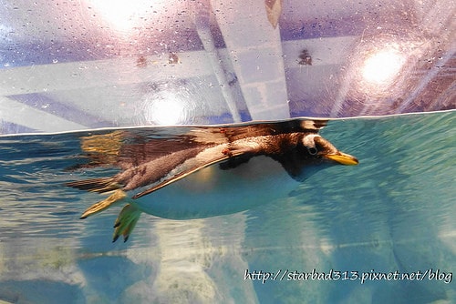 20251013-mw420 20251013-mw420