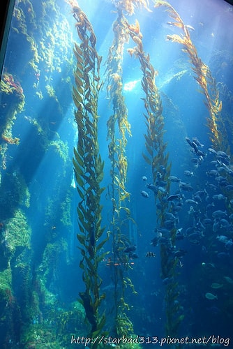 20251013-n6cwt 20251013-n6cwt